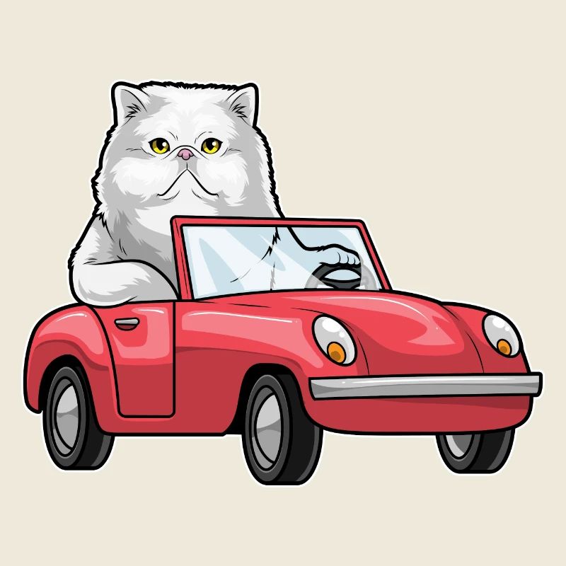 Persische Katze Auto