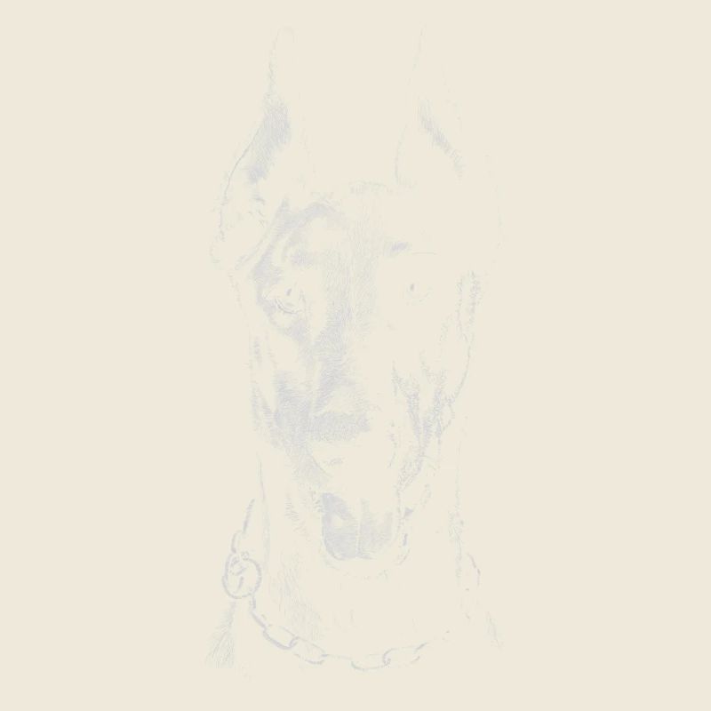 Doberman