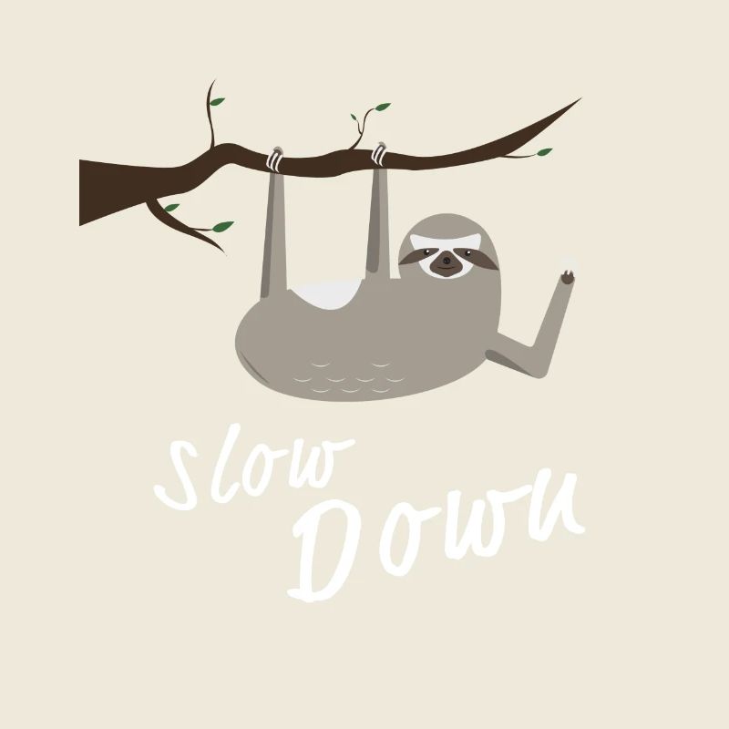 Sloth Slow Down pentes froid design