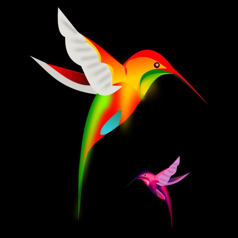 Die Kolibris