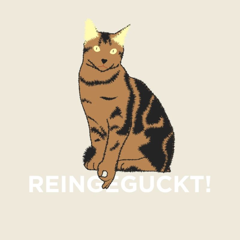 Regarde à l’intérieur - chat