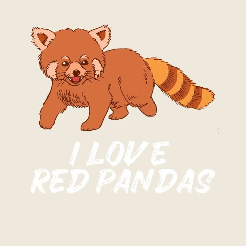 Ours de chat doux Panda rouge Panda rouge