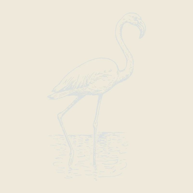 Flamingo dessin