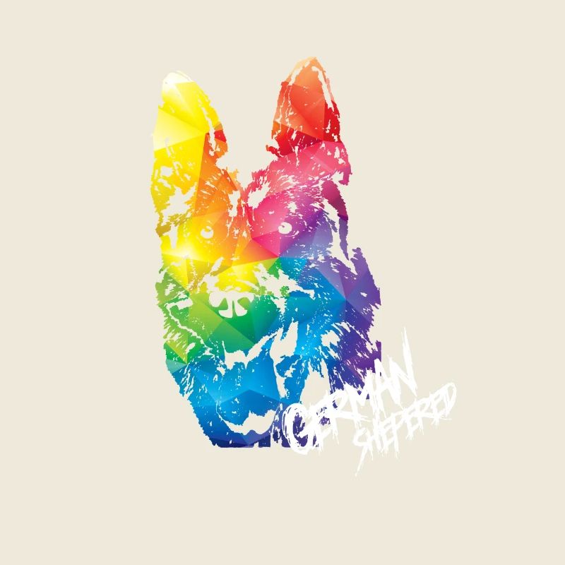 Deutscher Schäferhund