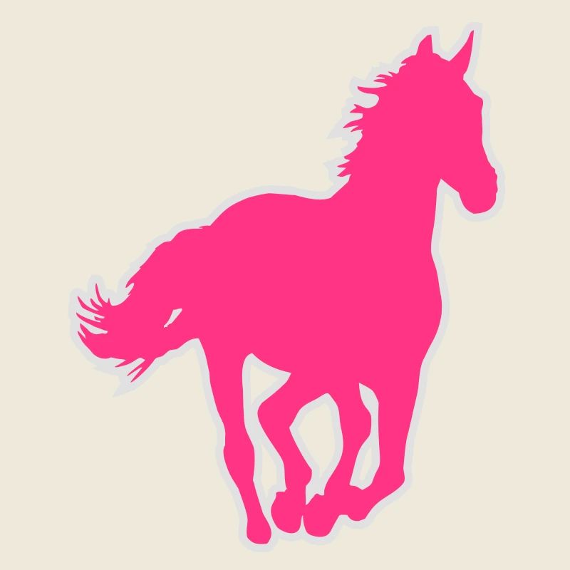 Un cheval