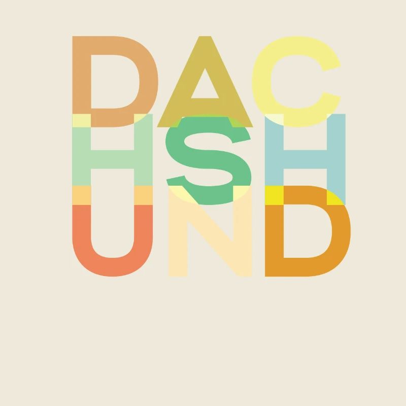 Dachshund Dog Colorful