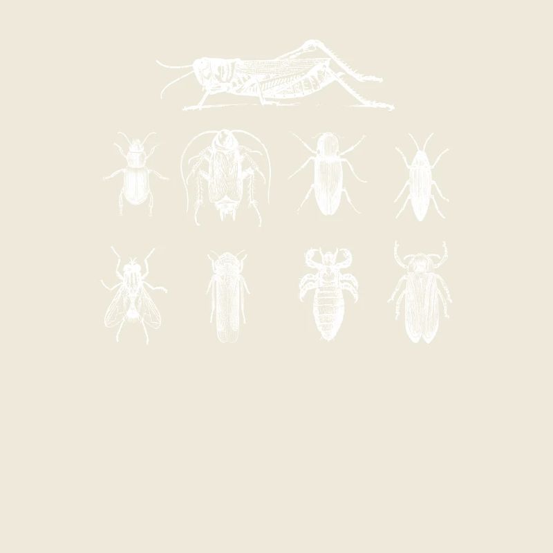 Insekten