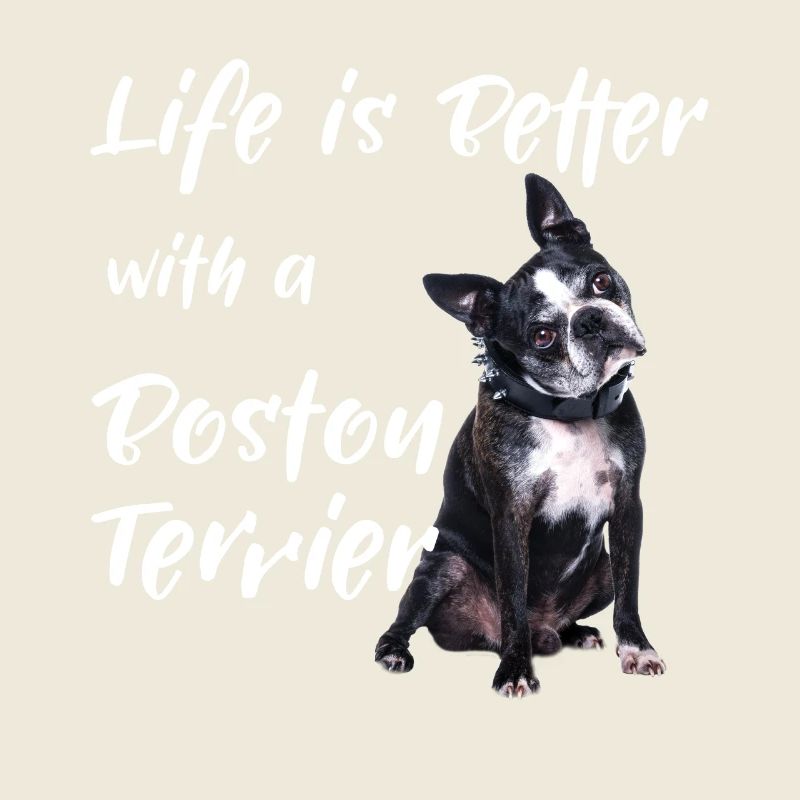Life Is Better With A Boston Terrier
