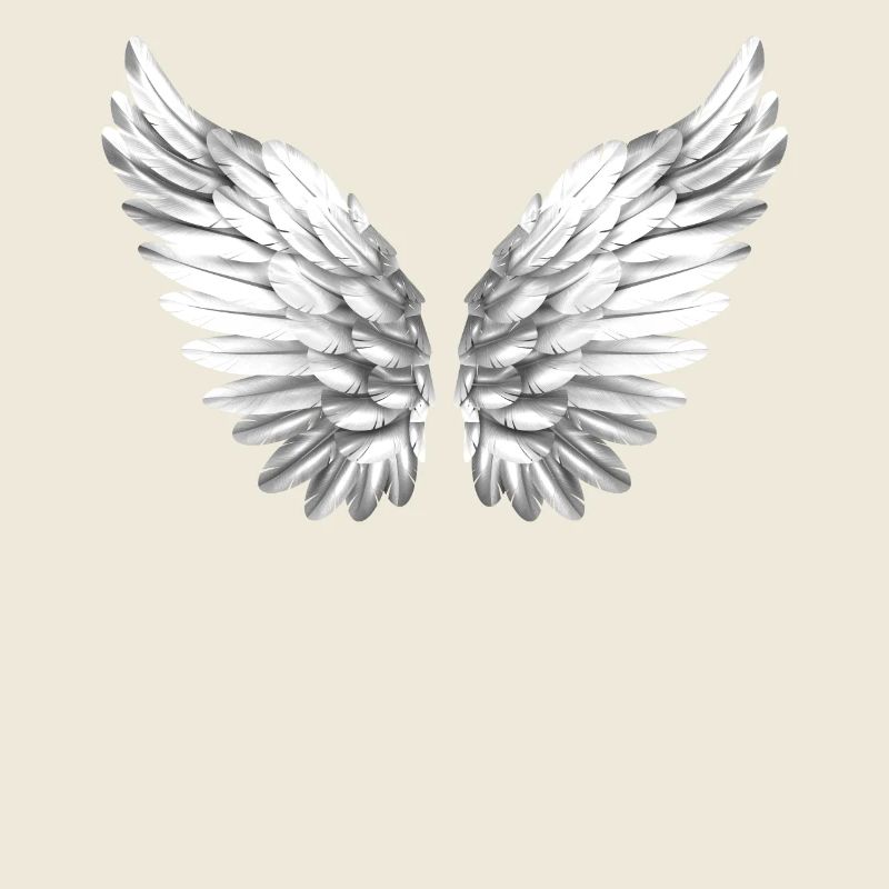 Ailes angéliques ailes anges aile blanc blanc