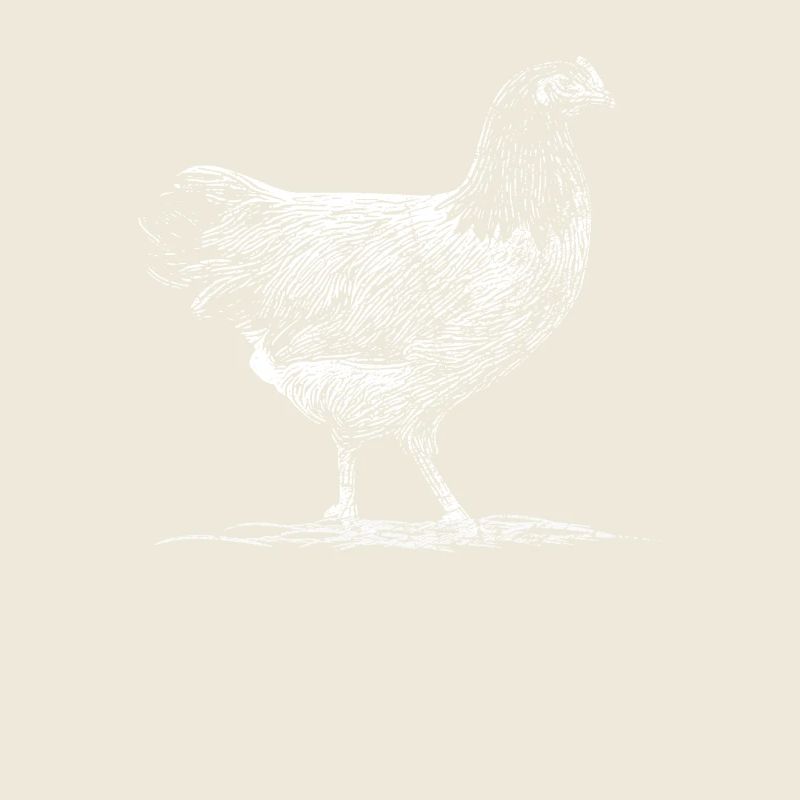 Dessin poulets à prédateurs Idée de cadeau