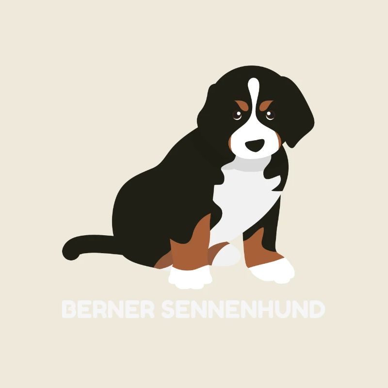 Chiot bernois
