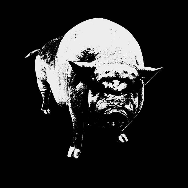 Schwein Hängebauchschwein Keiler