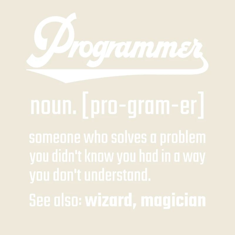 Programmer programmer noun noun definition
