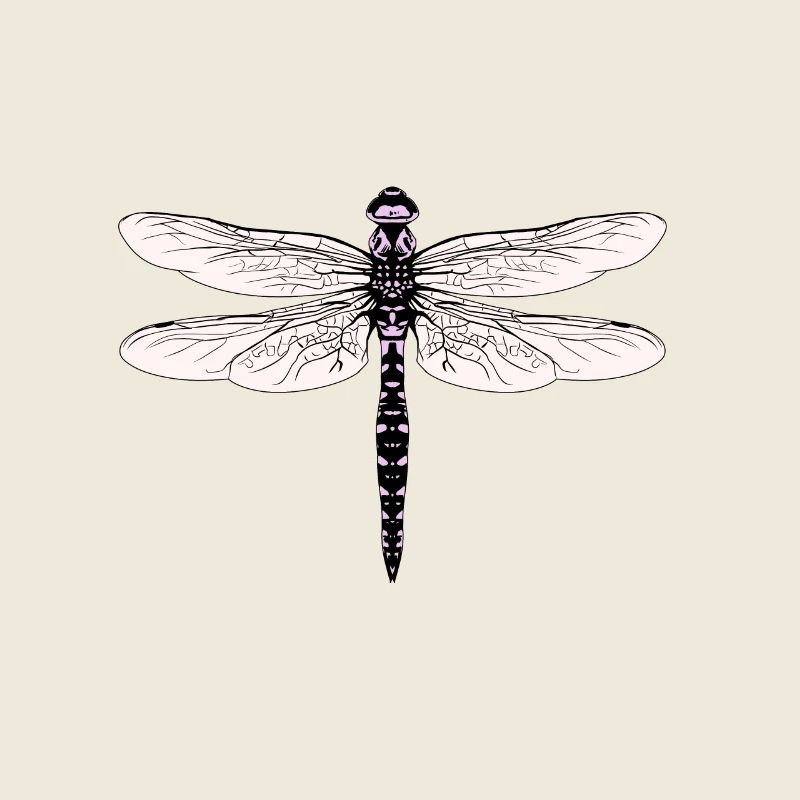 Libellule insecte insecte nature nature amoureux