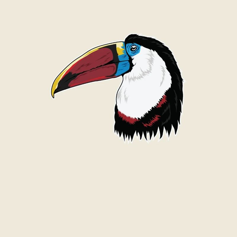 Weißbrusttukan Tukan-Vogel