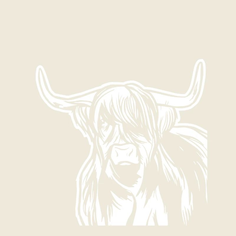 Boeuf Great Highland Cattle