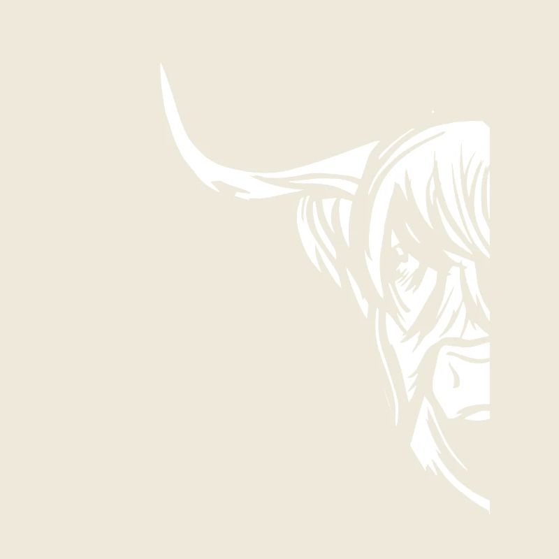 Cornes de boeuf de bovins Highland
