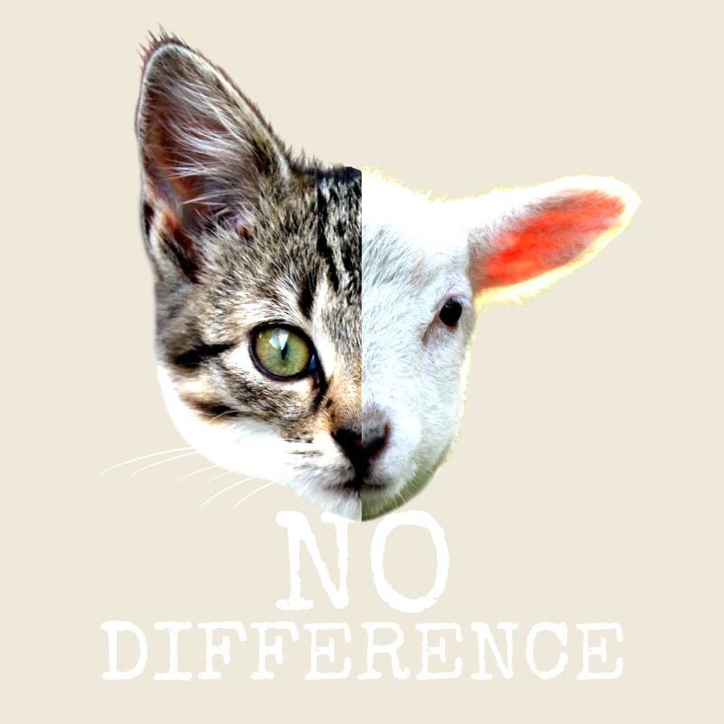 No Difference Pro Vegan Spruch Vegetarier Katzen