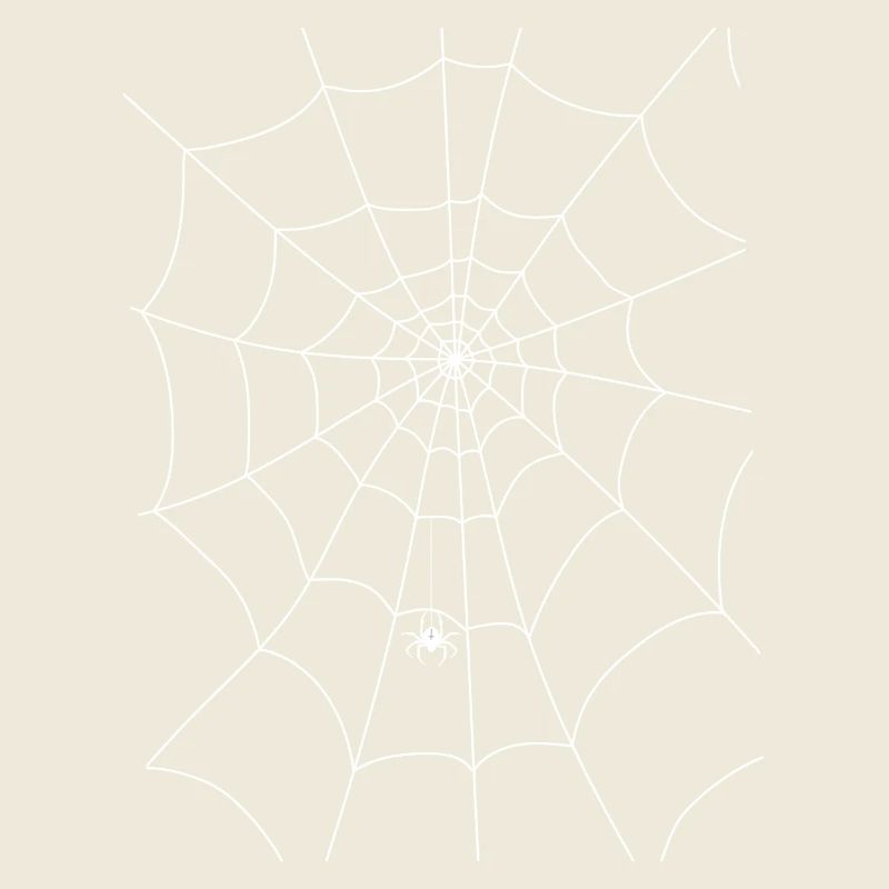 Spinnennetz, Spinne, Spinne im Netz