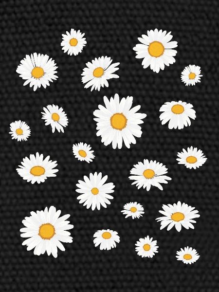 Daisy