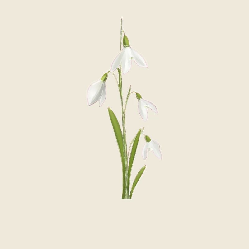 Perce-neige