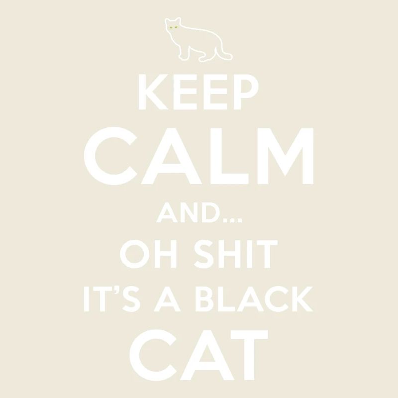 Superstition Chat Noir