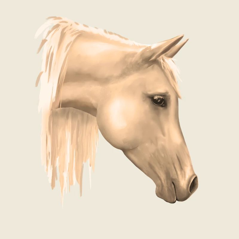 Motif de cheval