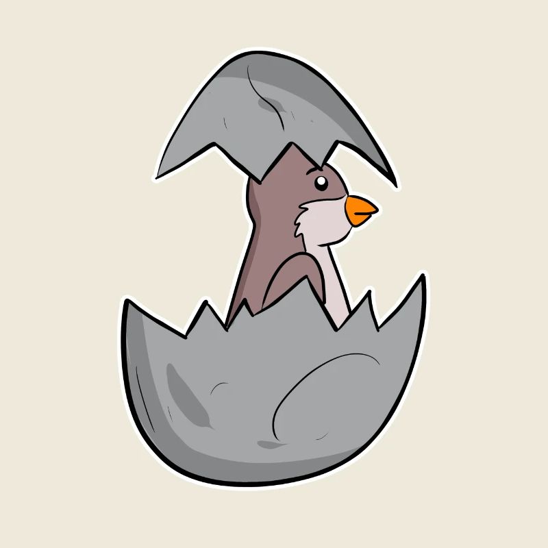 Bébé Moineau Domestique