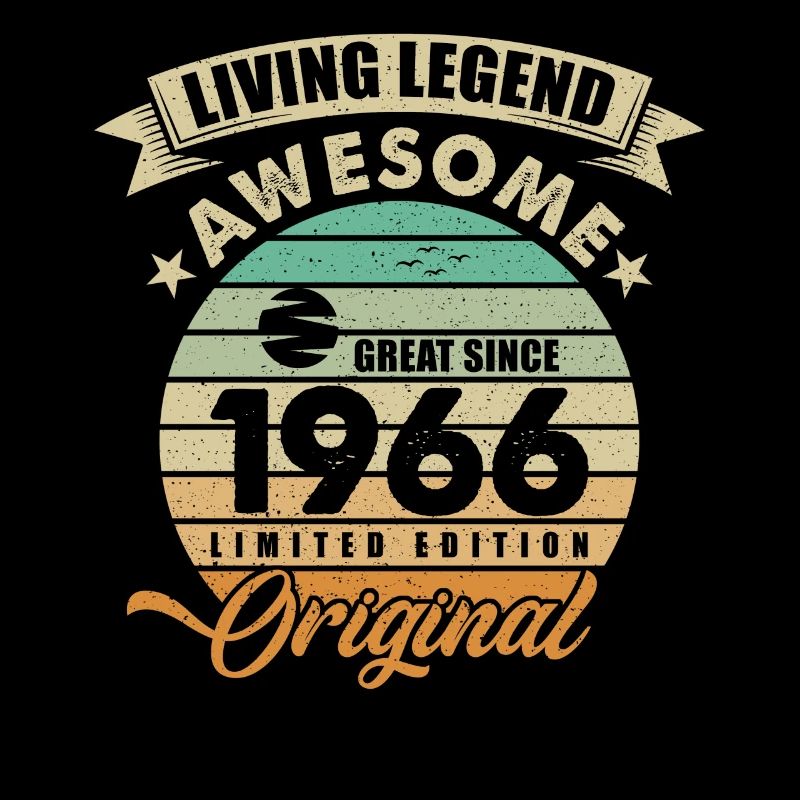 1966 Geburtstag Retro Orginal