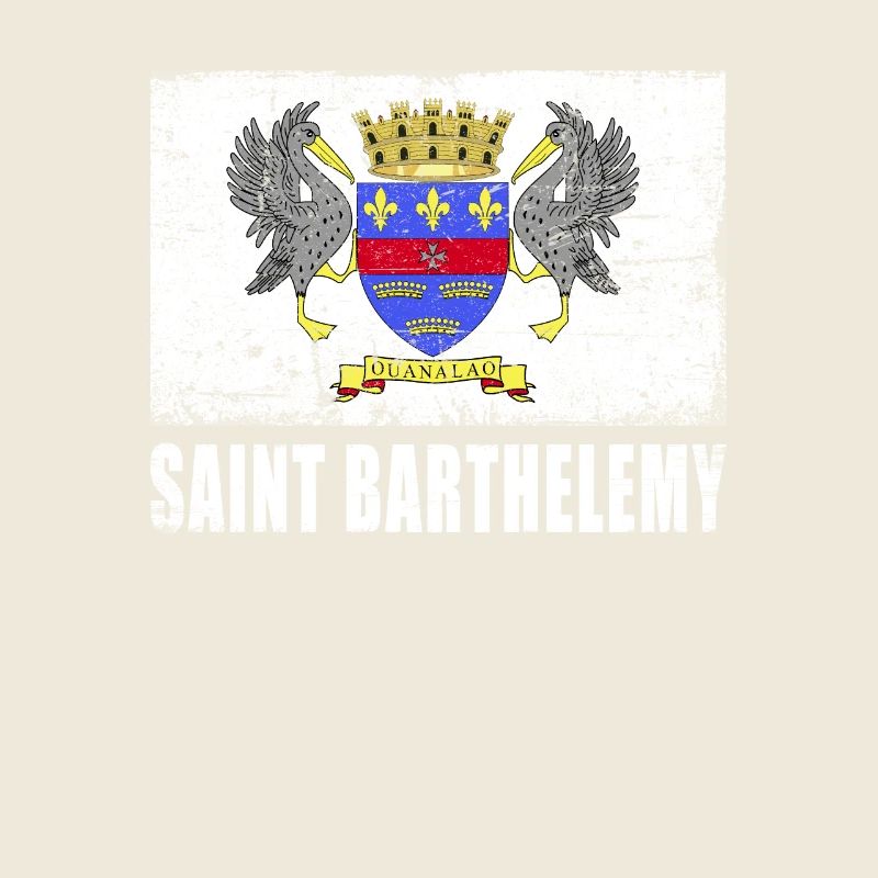 Saint Barthélemy Flag