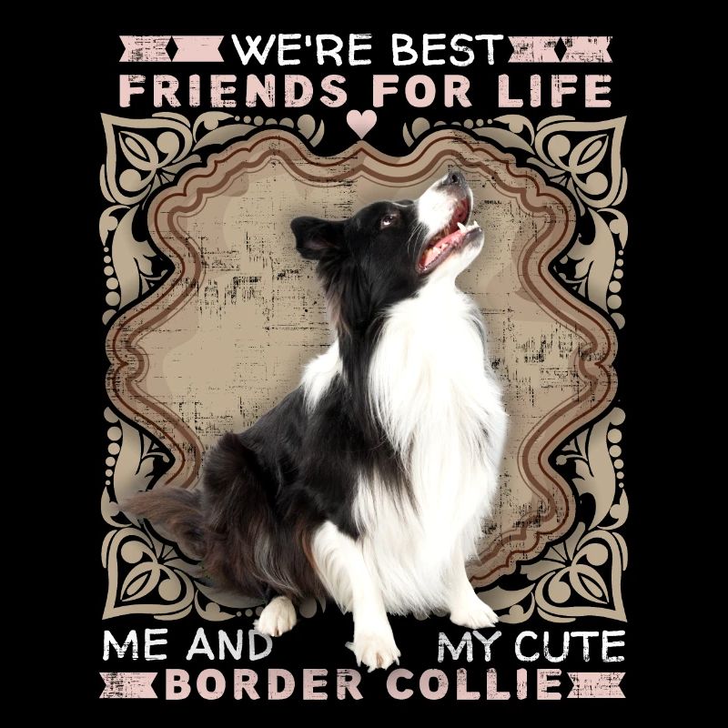 Border-Collie, Hund, lustiger Spruch