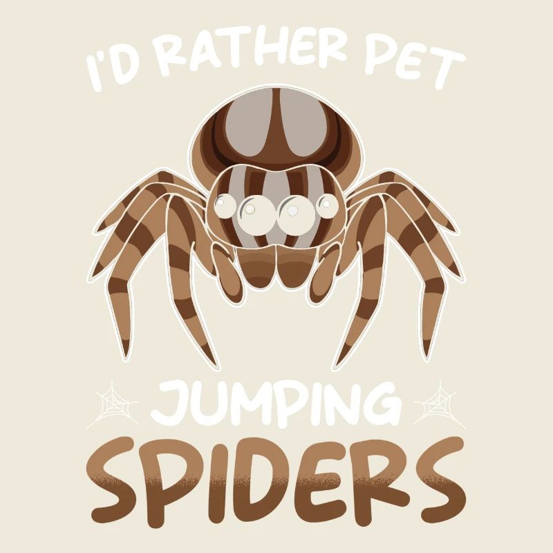 Dicton Jumping Spider