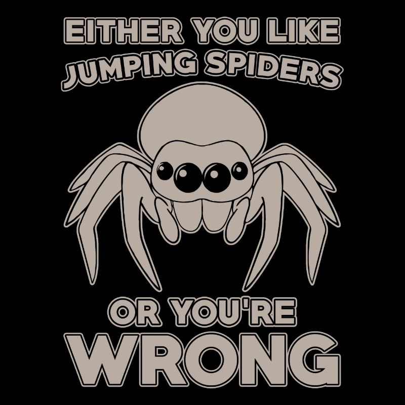 Dicton Jumping Spider