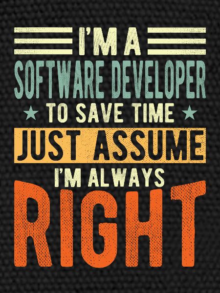 Software developer