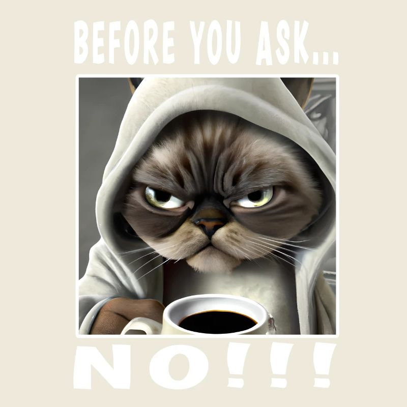 Before you ask no