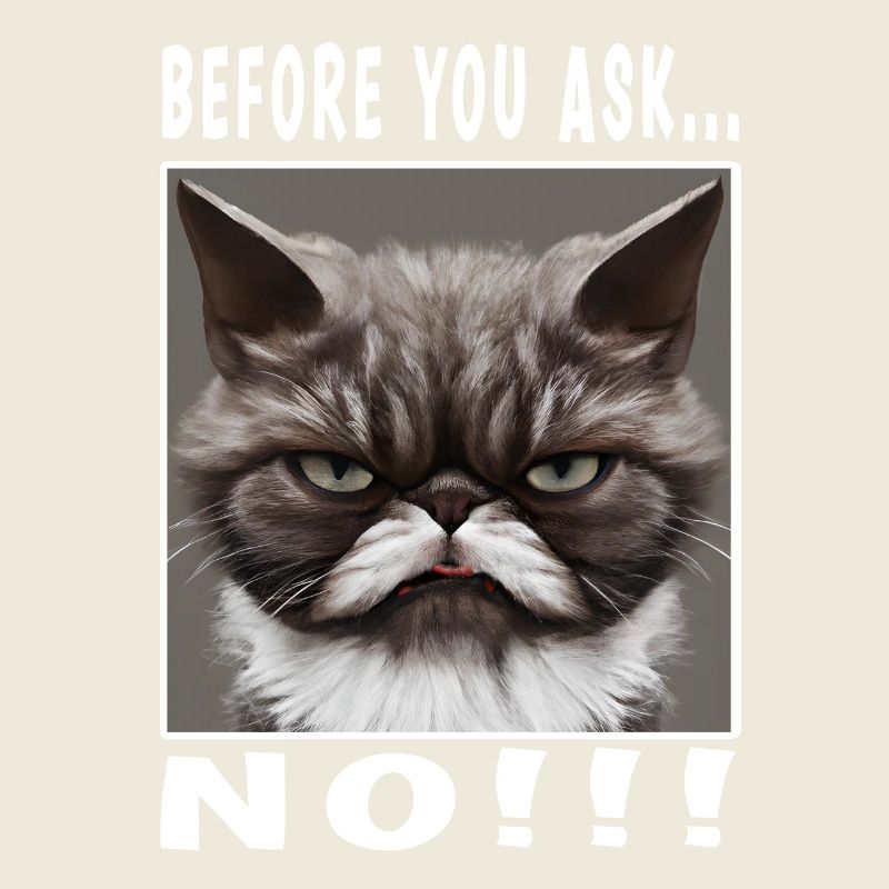 Before you ask no