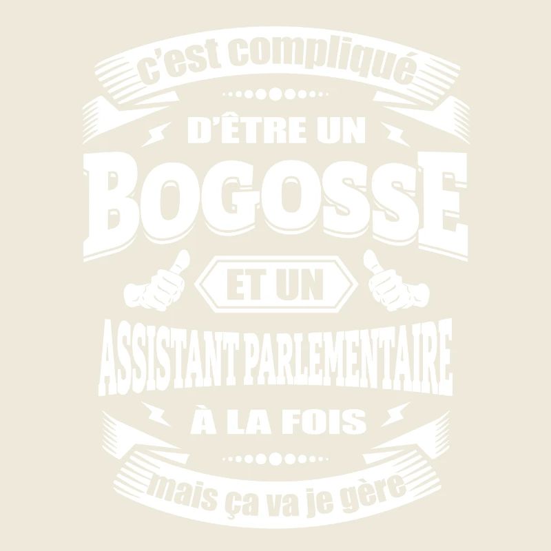 BOGOSSE ET ASSISTANT PARLEMENTAIRE