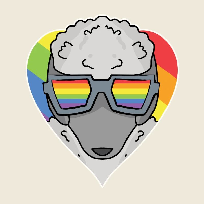 Regenbogen - Hund mit Brille - Pudel