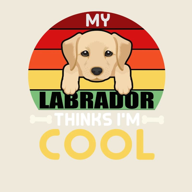 My labrador Think I`m Cool