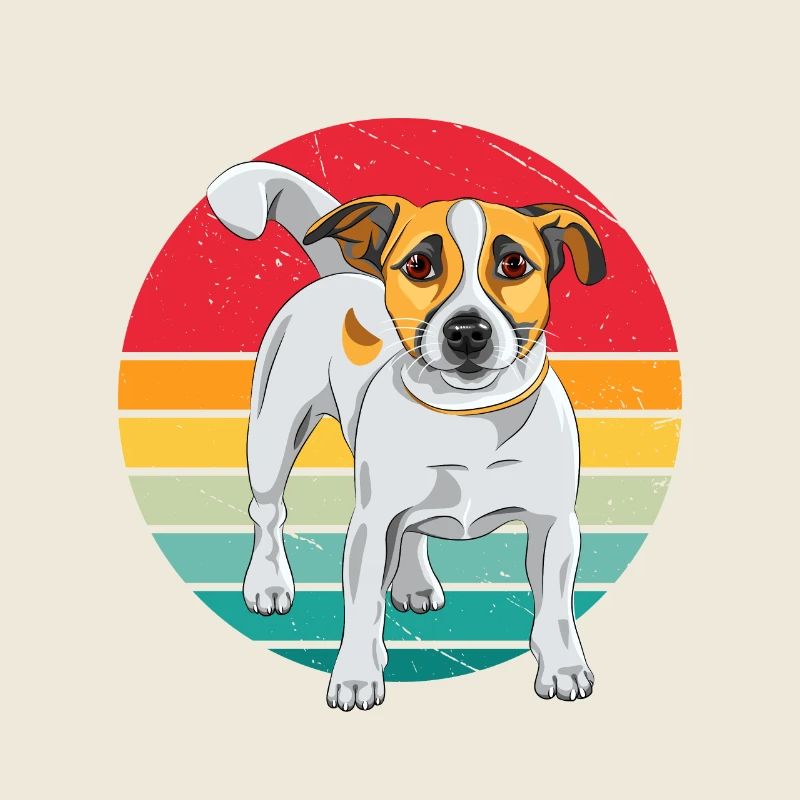 Jack Russel Terrier