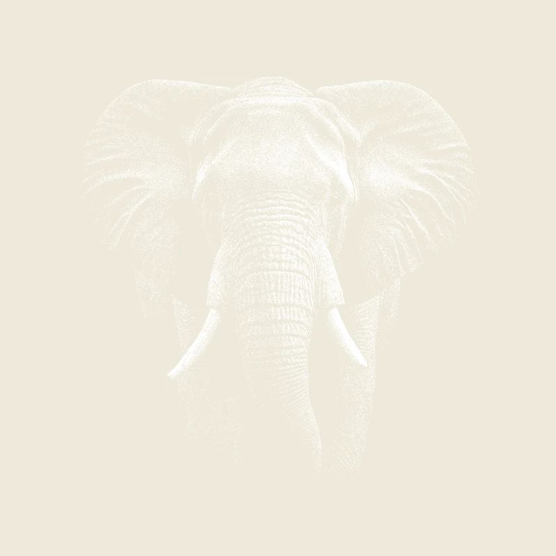 Realistic elephant design