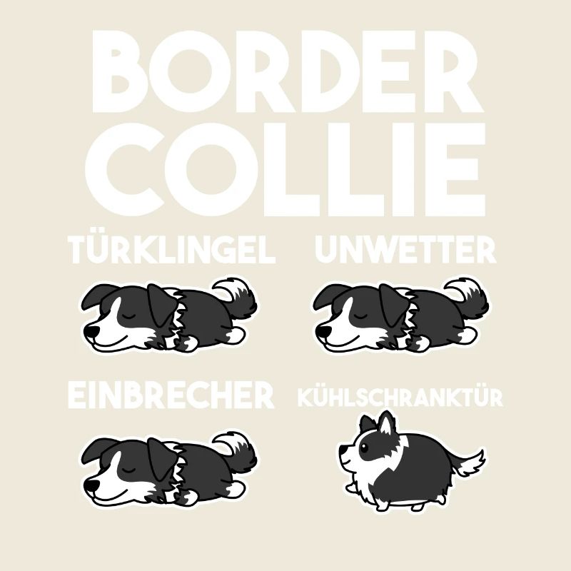 Hund Border Collie