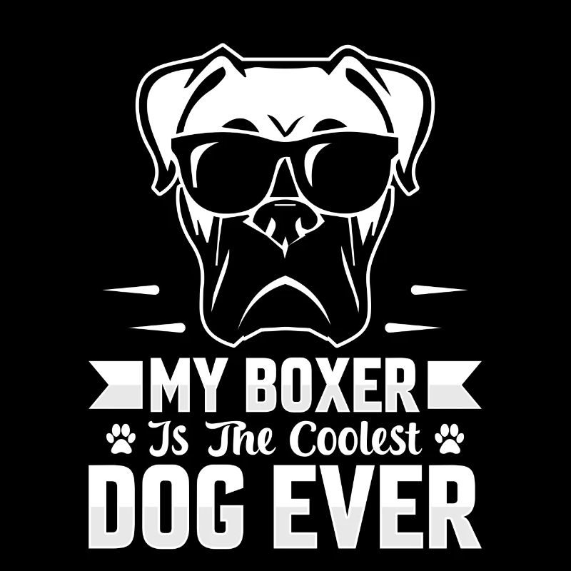 My boxer is the coolest dog ever