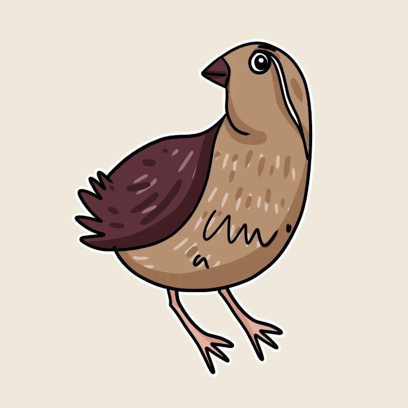 Caille Oiseau Motif Oiseaux