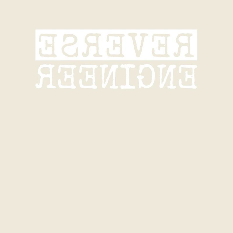 Reverse Engineer Software Engineer Developer