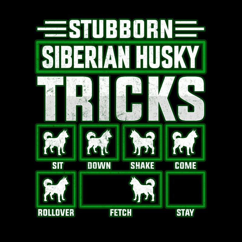 Astuces obstinées de Husky sibérien