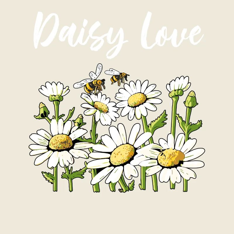 Gänseblümchen-Liebe