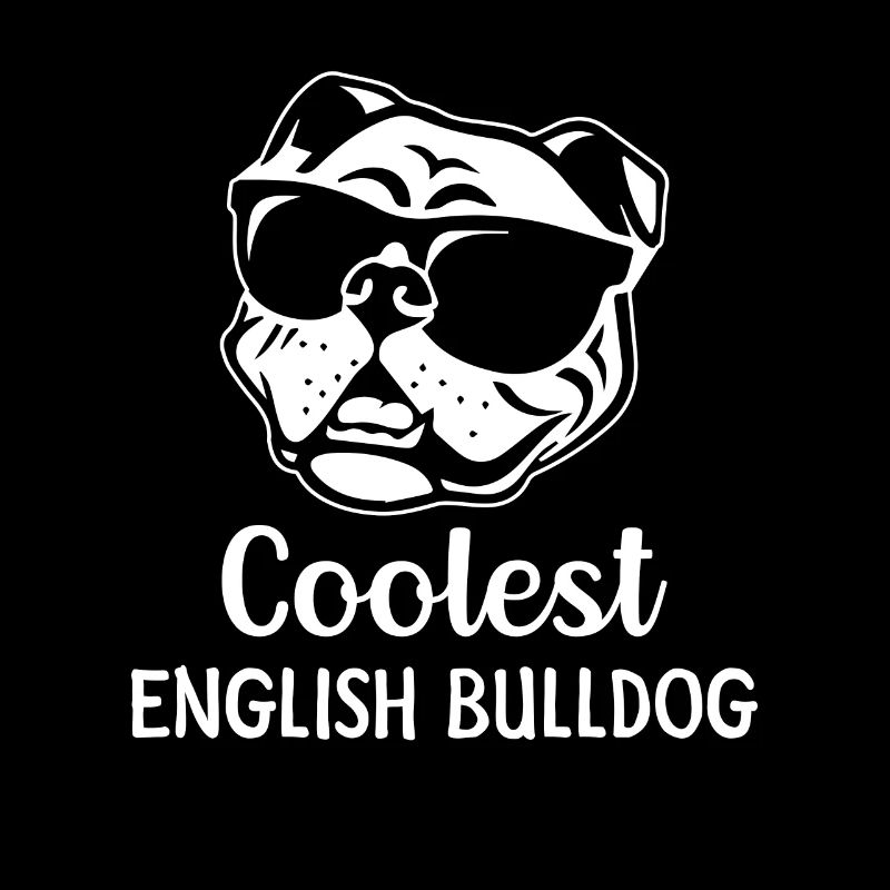 Le bouledogue anglais le plus cool