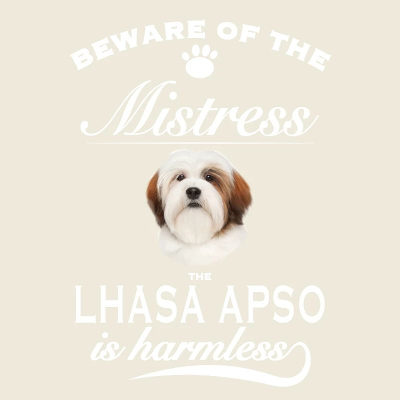 Beware of the mistress, harmless Lhasa Apso