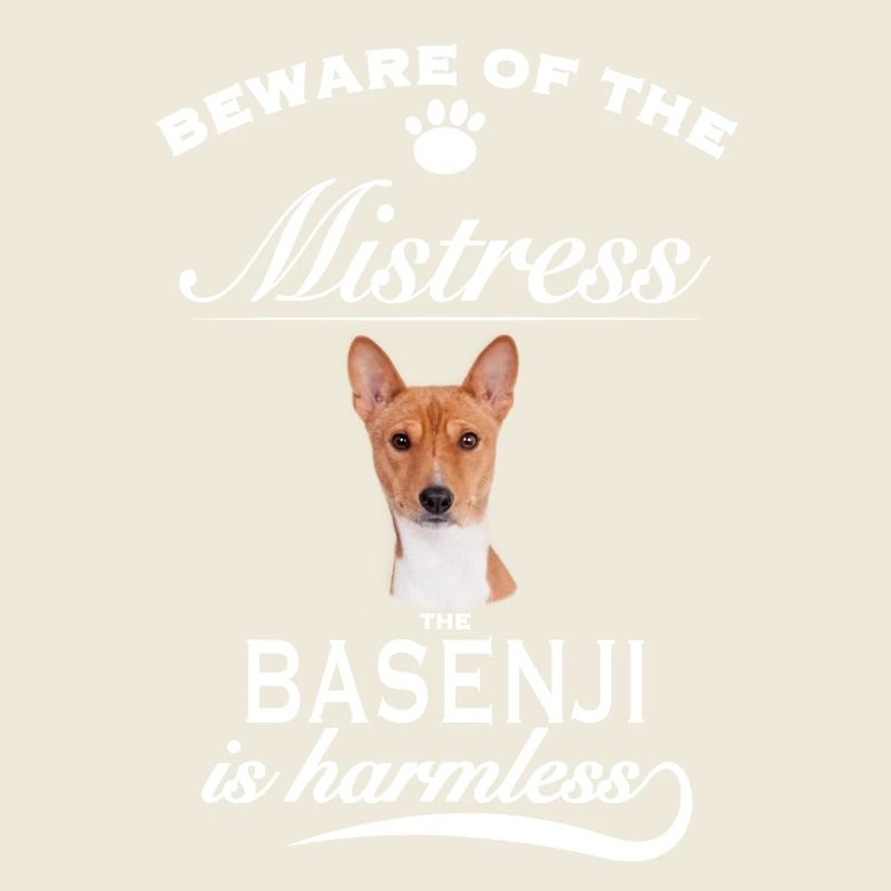 Méfiez-vous de la maîtresse, inoffensive Basenji